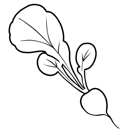 Свекла раскраска для детей