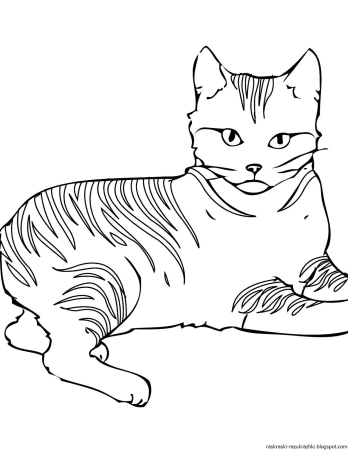 Раскраски котов