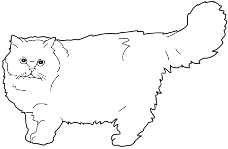 Пушистая кошка раскраска