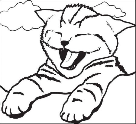 Кошки. Раскраска