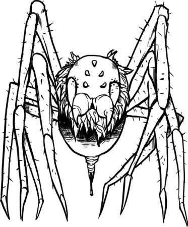 Страшный паук раскраска