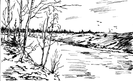 Половодье раскраска для детей