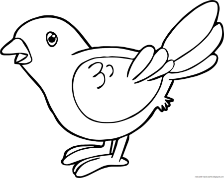 Птичка раскраска