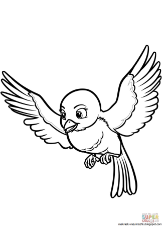 Птичка раскраска