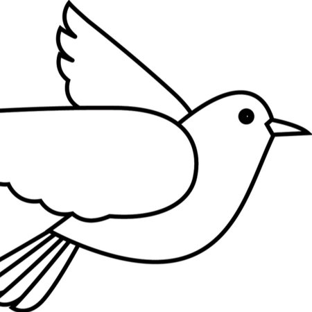 Птицы раскраска для детей