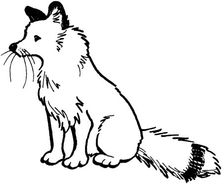 Лиса раскраска для детей