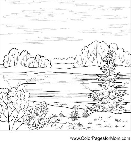 Лес и речка раскраска