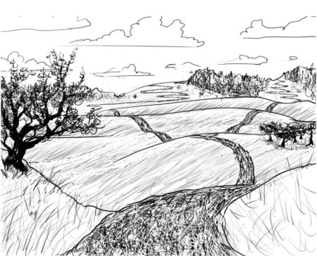 Холмы карандашом