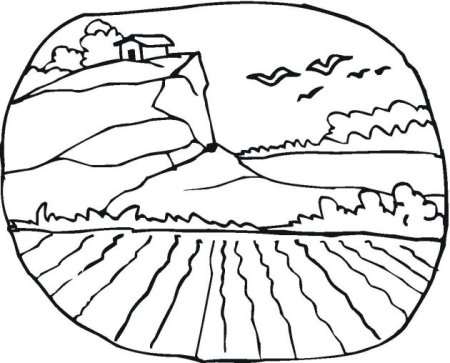 Раскраска поле