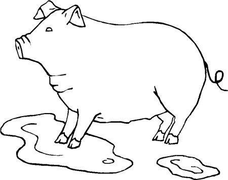 Свинья раскраска для детей 2-3 лет