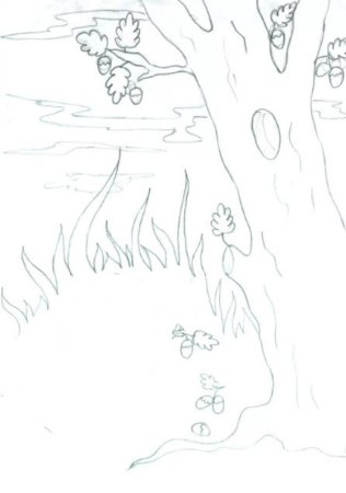 Дуб раскраска