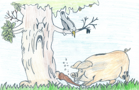 Свинья под дубом раскраска