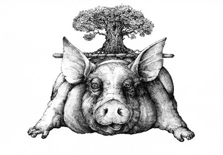 Раскраска свинья и дуб