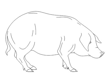 Басни Крылова раскраски