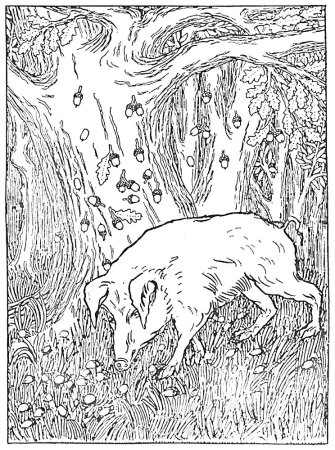 Раскраска басни Крылова свинья под дубом