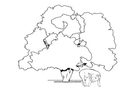 Басня картина