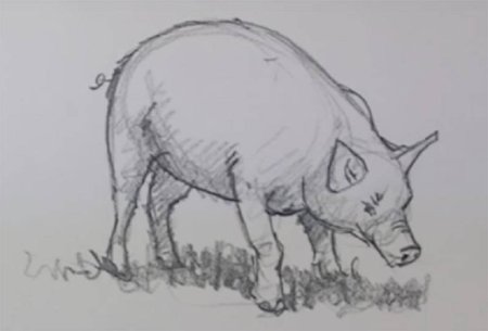 Рисунок к басне Крылова свинья под дубом