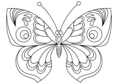 Раскраска "бабочки"