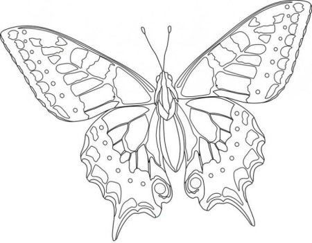 Маленькие бабочки для раскрашивания