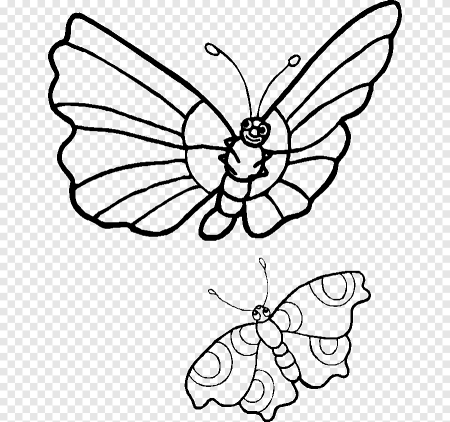 Бабочка черно белая для детей