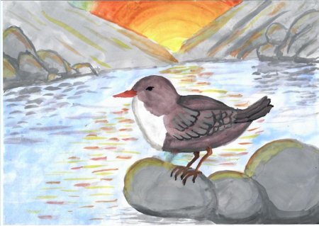 Птица оляпка для детей