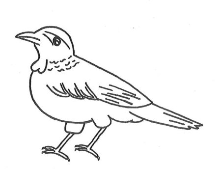 Оляпка 2 класс