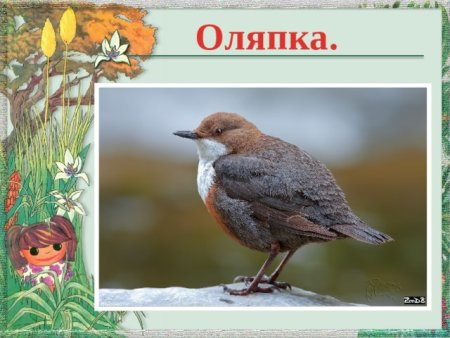 Воробьишко Горький раскраска