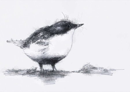 Виталий Бианки оляпка