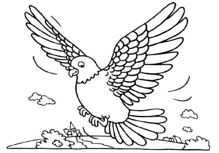 Голубь раскраска для детей