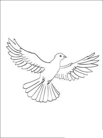 Голубь рисунок