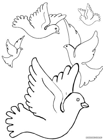 Голубь мира раскраска для детей