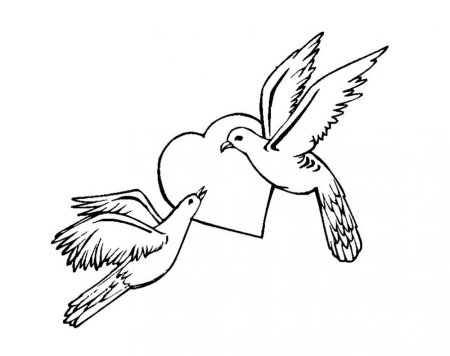 Птичка картинка для детей раскраска