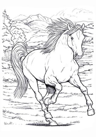 Рисунки для разукрашивания