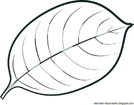 Осенние листочки раскраска