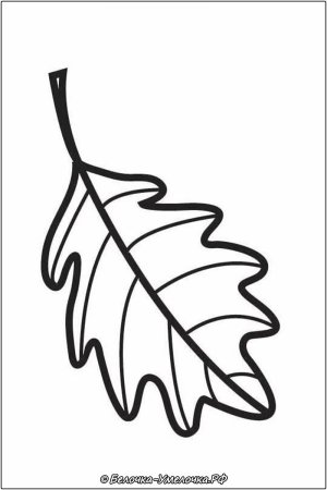 Дубовый лист раскраска