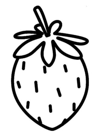 Раскраски. Животные