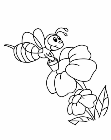 Пчела раскраска