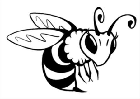 Раскраска пчела для детей 5-6 лет