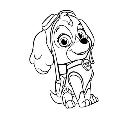 Кай раскраска Щенячий патруль