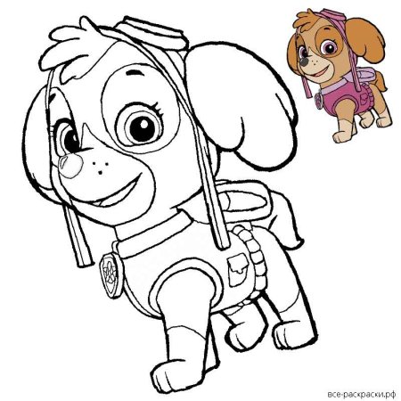 Paw Patrol раскраска