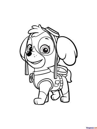 Щенячий патруль раскрась Скай