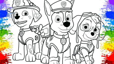 Paw Patrol раскраска Рокки