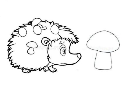 Картинка Ёжика для детей раскраска