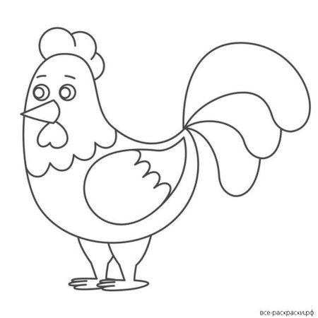 Петух раскраска для детей