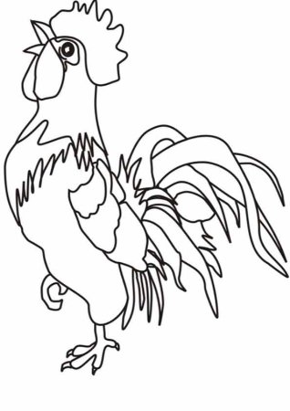 Петух раскраска для детей
