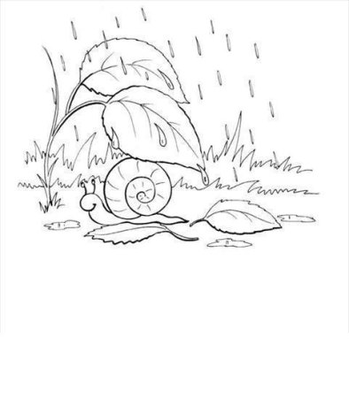 Рисунок осень раскраска