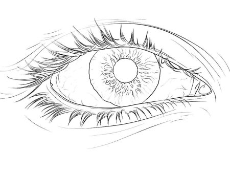 Глаза раскраска