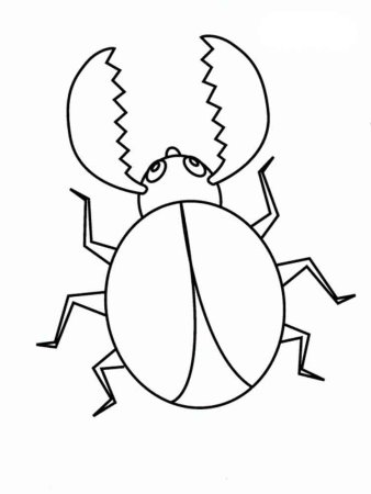 Жук раскраска