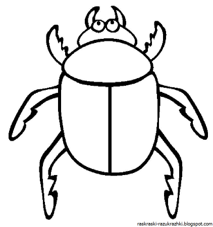 Жук бронзовка раскраска