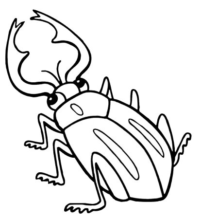 Жук короед раскраска